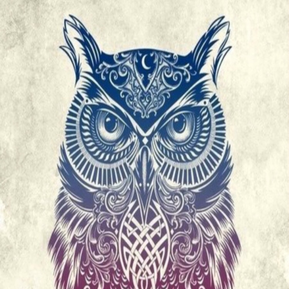 Meet your Posher, Callie